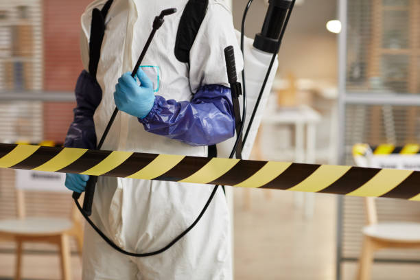 Professional Biohazard technician working in Dumont, CO